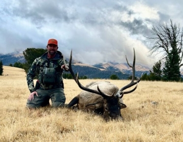 Sns Wyoming Wilderness Elk 2026 30.jpg